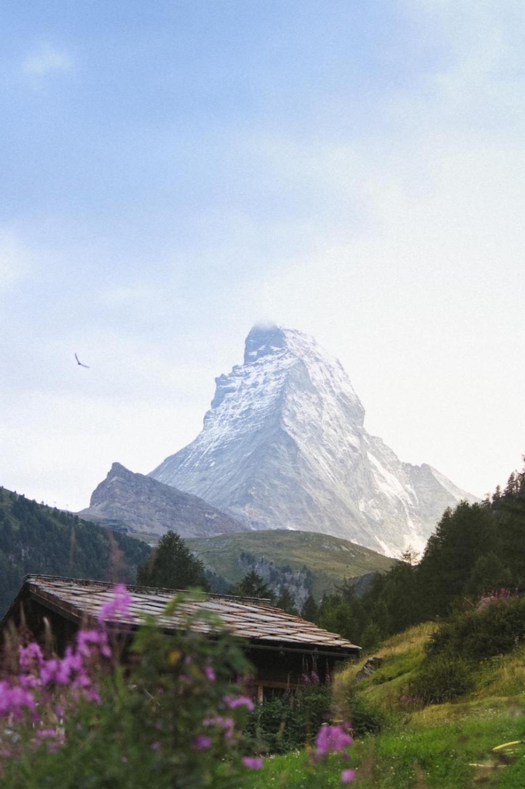 Studio Wolli - Stylish & Central - Steps To Matterhorn Gondola Zermatt Luaran gambar